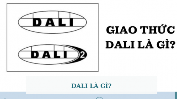 DALI LÀ GÌ?