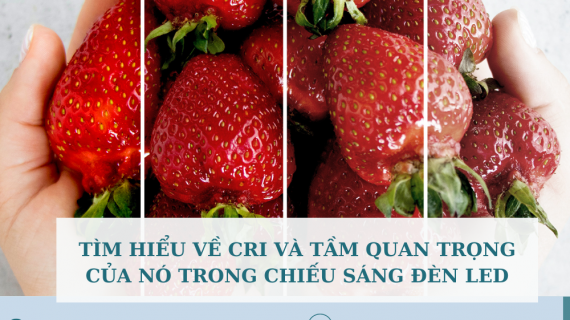 TÌM HIỂU VỀ CRI (CHỈ SỐ HOÀN MÀU) VÀ TẦM QUAN TRỌNG CỦA NÓ TRONG CHIẾU SÁNG ĐÈN LED