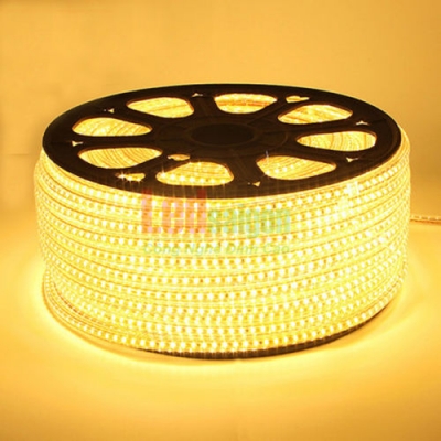 Led Cuộn 100M SMD 3014