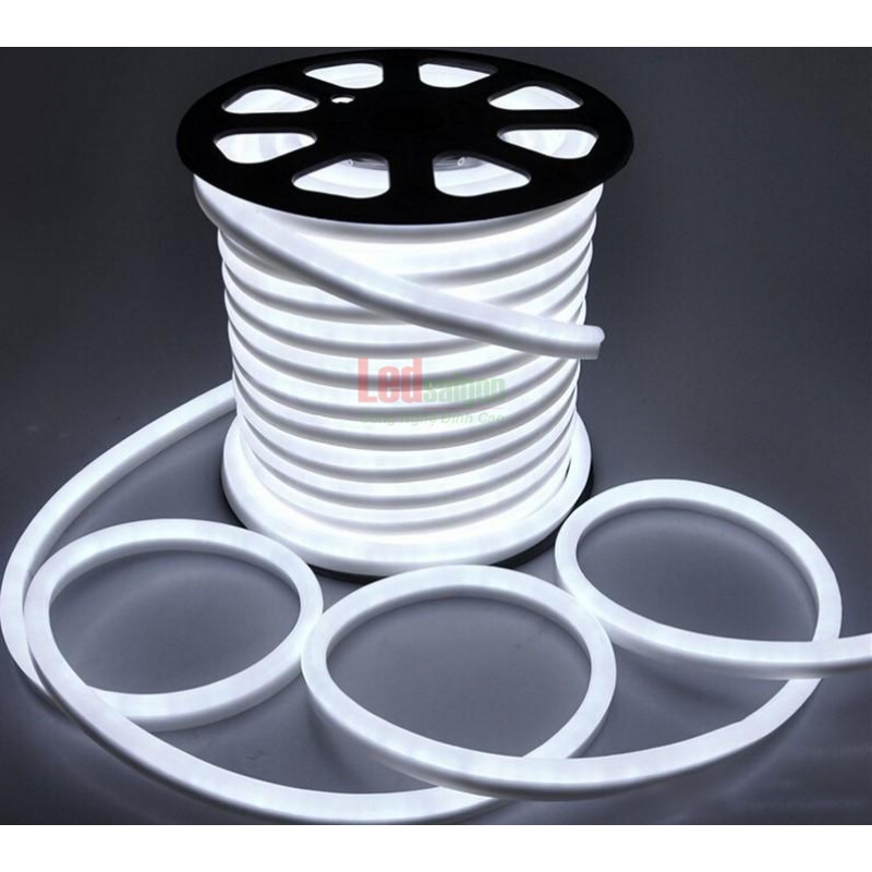 Led dây Neon Sign 100M 12V Trắng