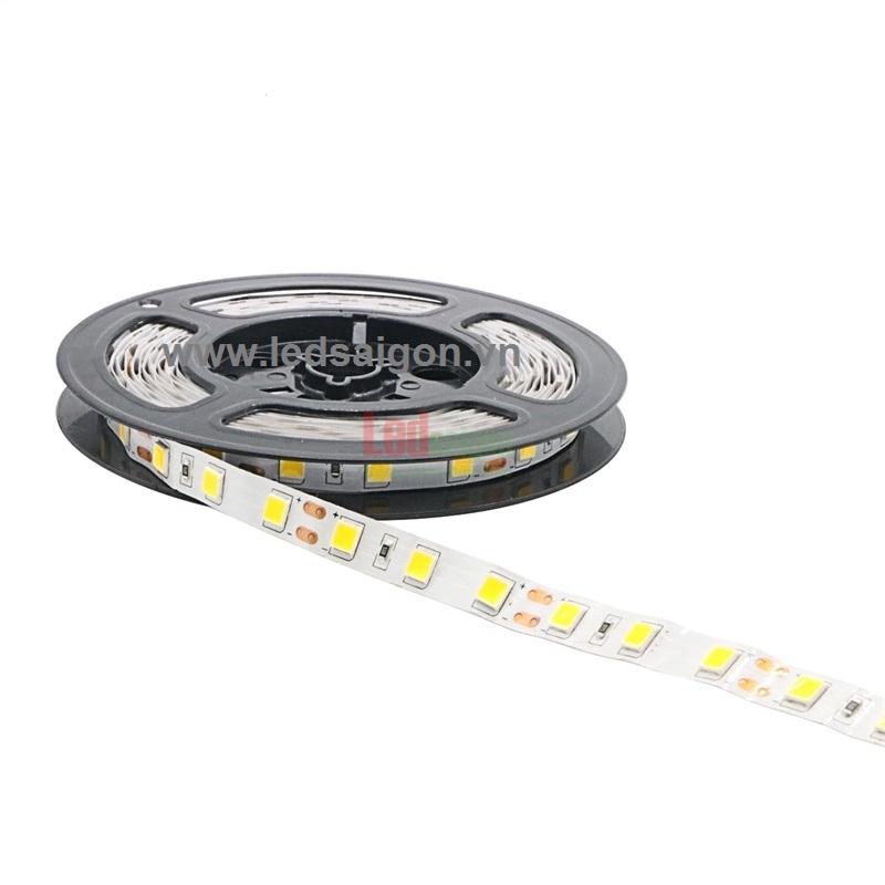 Led Dây Dán 5054 Senyang
