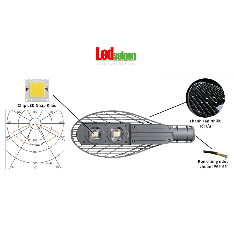 Đèn Đường Chiếc Lá 100W Vợt