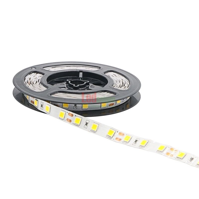 Led Dây Dán 5054 Senyang