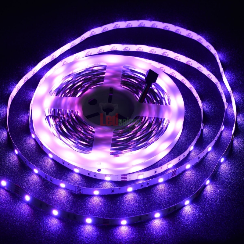 Led Dây Dán SMD 5050 Không Keo