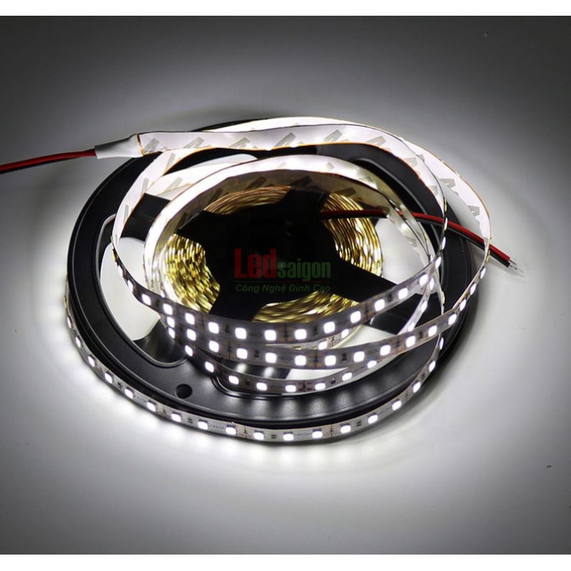 LED DÂY DÁN 5M 2835 10MM