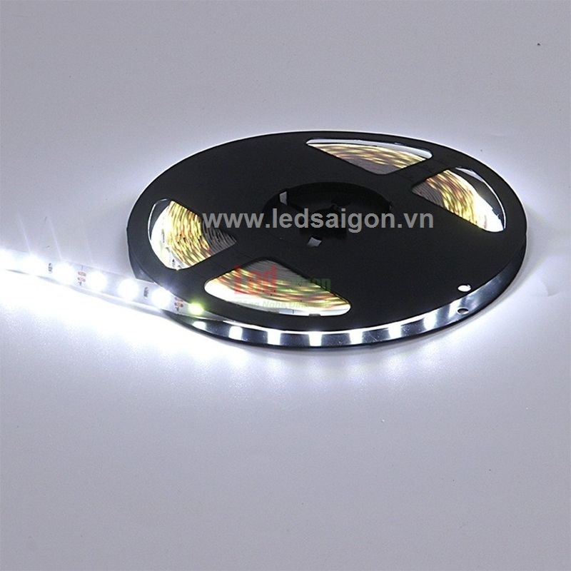 Led Dây Dán 5054 Senyang