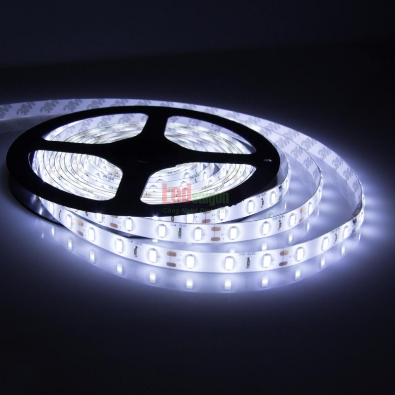 LED DÁN 5M 2835 4000K 5MM