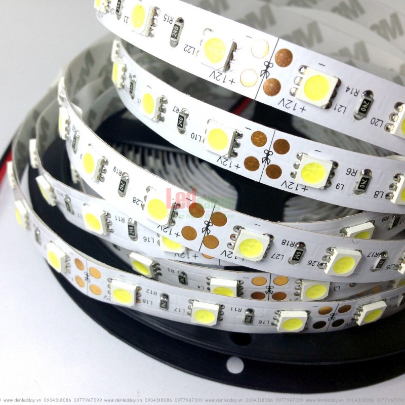 LED DÂY DÁN 5M 2835 10MM