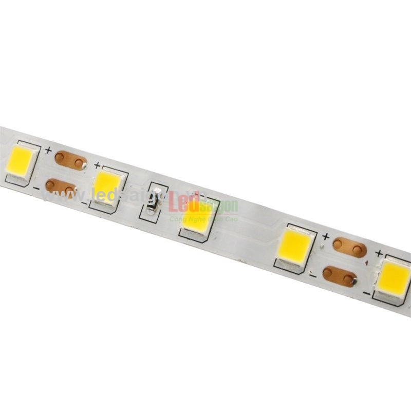 Led Dây Dán 5054 Senyang