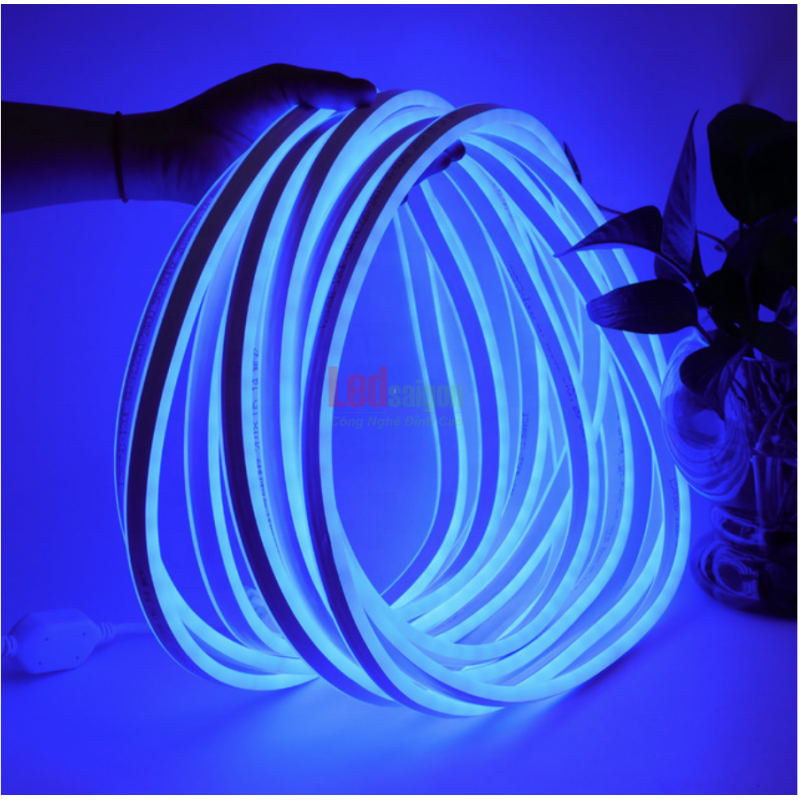 Led Dây Neon Sign 50M 12V Xanh