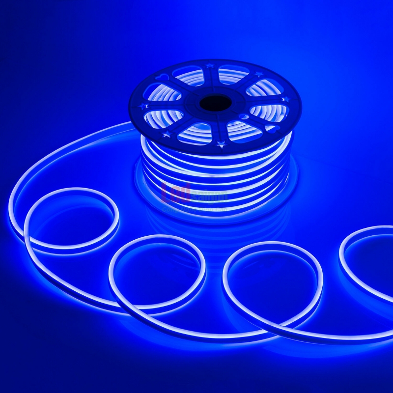 Led Dây Neon Sign 50M 12V Xanh
