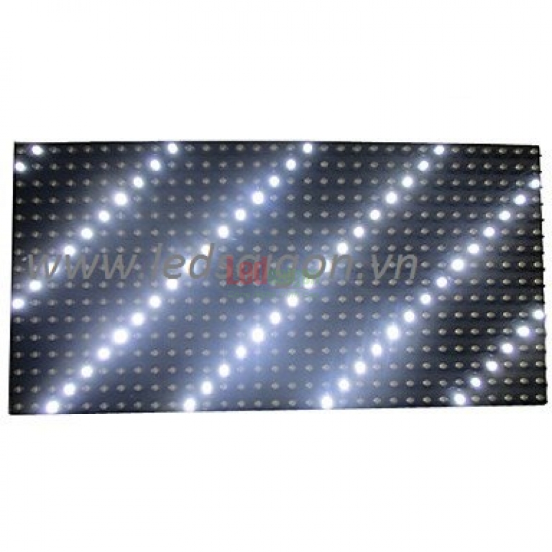 Module P10 Trắng outdoor
